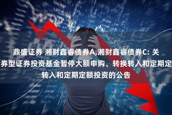 鼎盛证券 湘财鑫睿债券A,湘财鑫睿债券C: 关于湘财鑫睿债券型证券投资基金暂停大额申购、转换转入和定期定额投资的公告