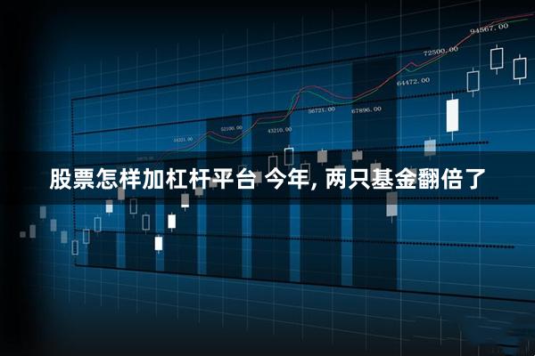 股票怎样加杠杆平台 今年, 两只基金翻倍了