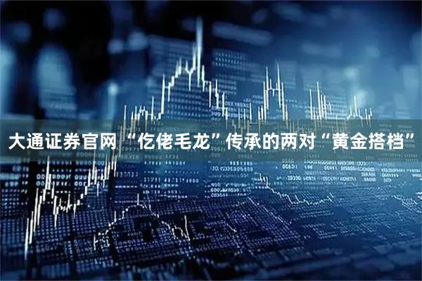 大通证券官网 “仡佬毛龙”传承的两对“黄金搭档”