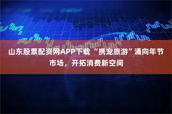 山东股票配资网APP下载 “携宠旅游”涌向年节市场，开拓消费新空间